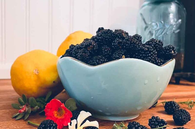 Whole Wheat Wild Blackberry Lemon Muffins with Streusel Topping